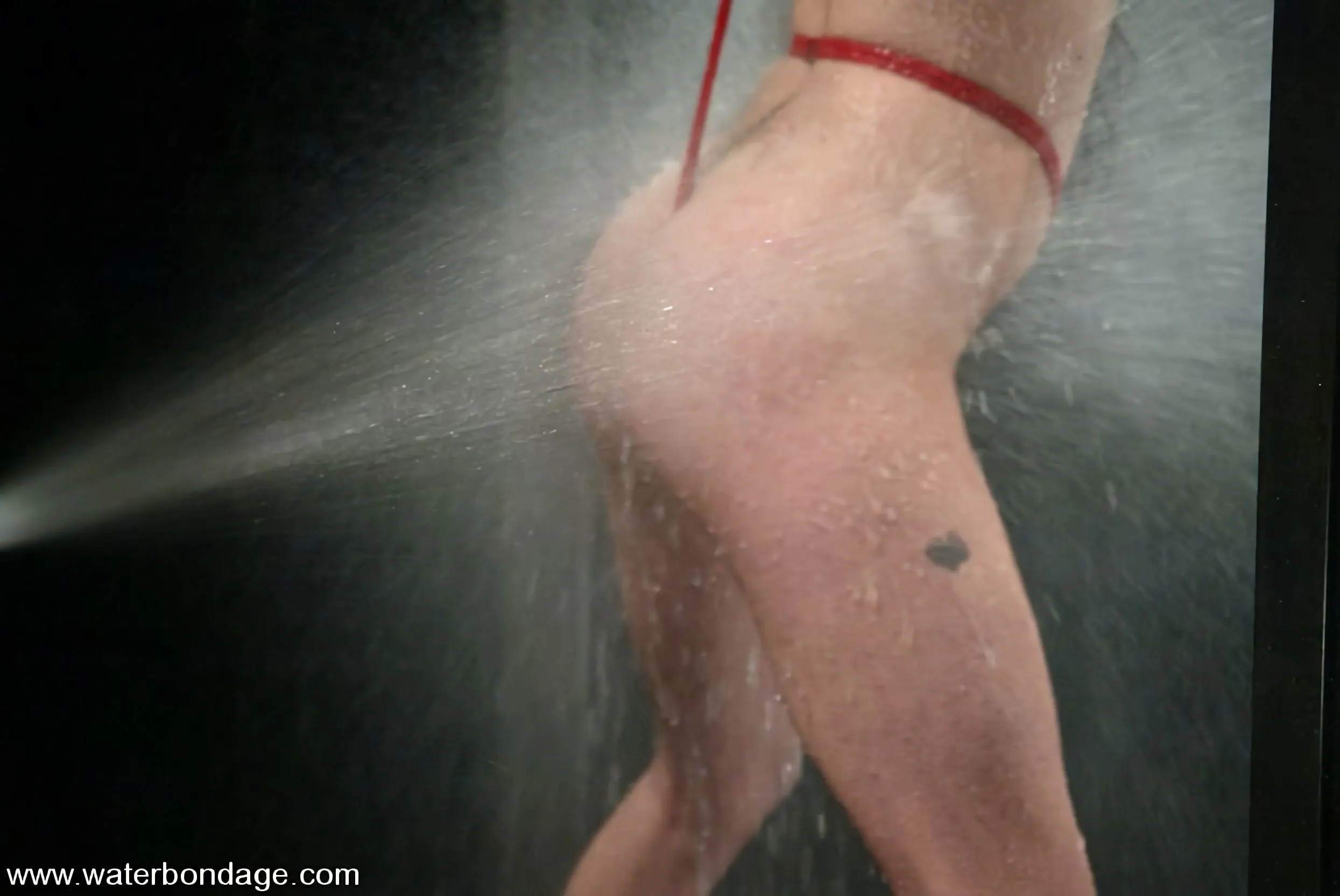 Maya Matthews in 'Maya Matthews' from 'Kink' (Photo 6) Kink 'Maya Matthews' starring Maya Matthews (Photo 6)