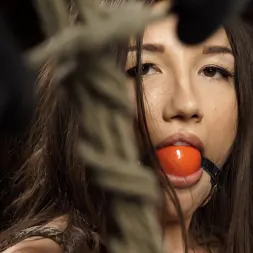 Maya Woulfe in 'Kink' Fresh Meat: Maya Woulfe Endures Extreme Bondage and Nonstop Torment (Thumbnail 8)