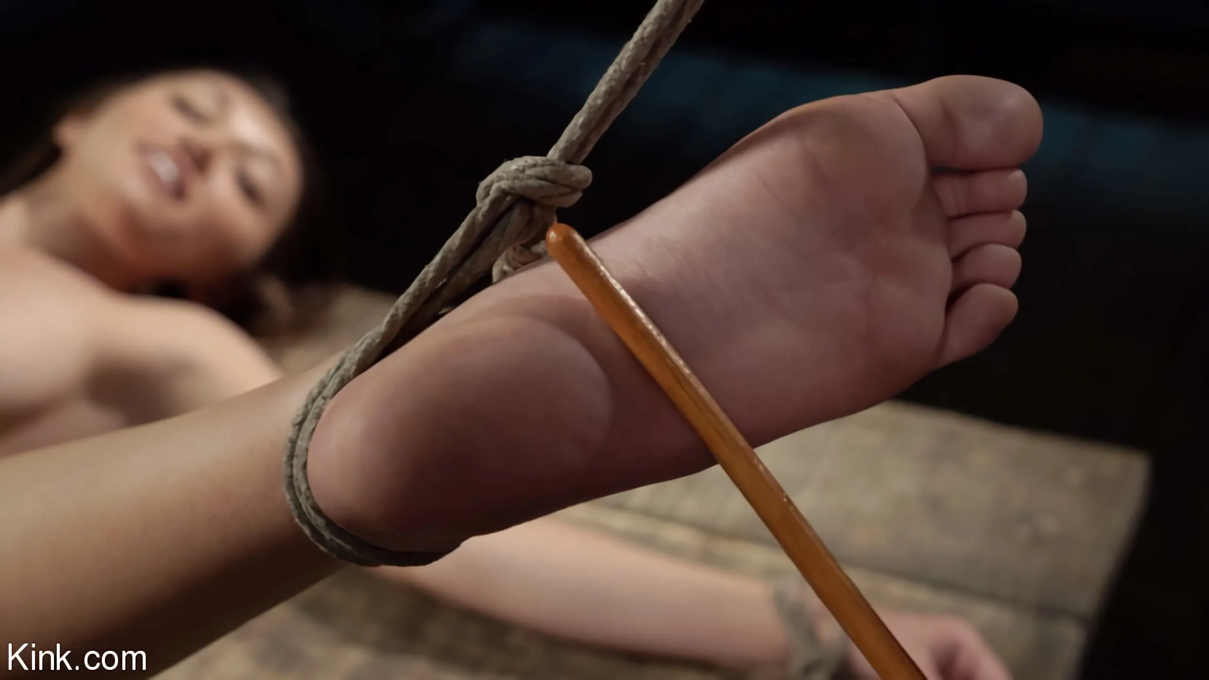 Kink '新鮮な肉:マヤ・ウルフは極端な束縛とノンストップの苦しみに耐える' 主演 Maya Woulfe (写真 23)