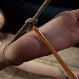 Maya Woulfe in 'Kink' Fresh Meat: Maya Woulfe Endures Extreme Bondage and Nonstop Torment (Thumbnail 23)