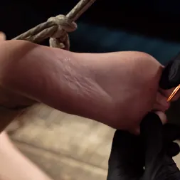 Maya Woulfe in 'Kink' Fresh Meat: Maya Woulfe Endures Extreme Bondage and Nonstop Torment (Thumbnail 24)