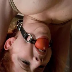 Megan Murray in 'Kink' Tiny Holes (Thumbnail 3)