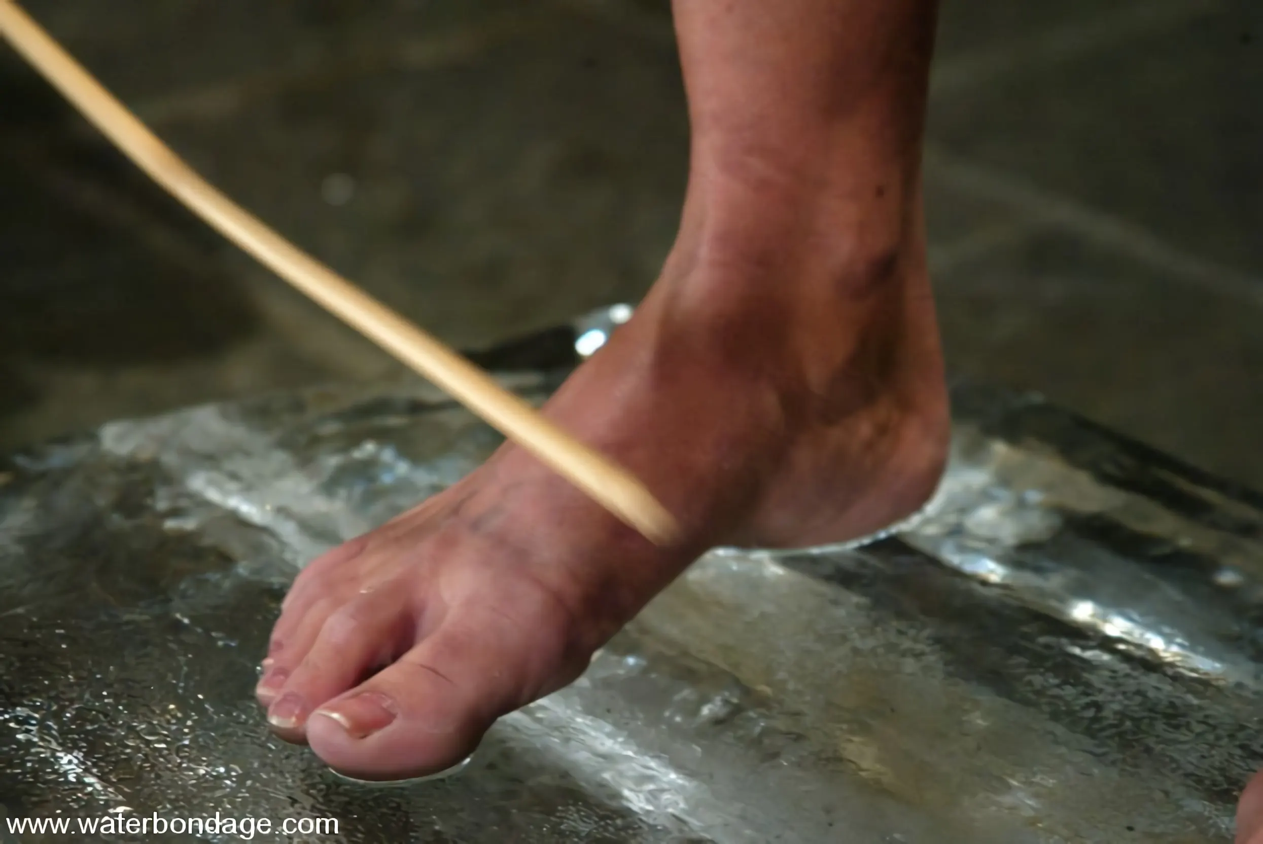 Kink 'Melissa Lauren' protagonizando Melissa Lauren (foto 8)