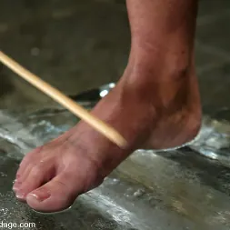 Melissa Lauren en Melissa Lauren (foto 8) Melissa Lauren en 'Kink' Melissa Lauren (Miniatura 8)