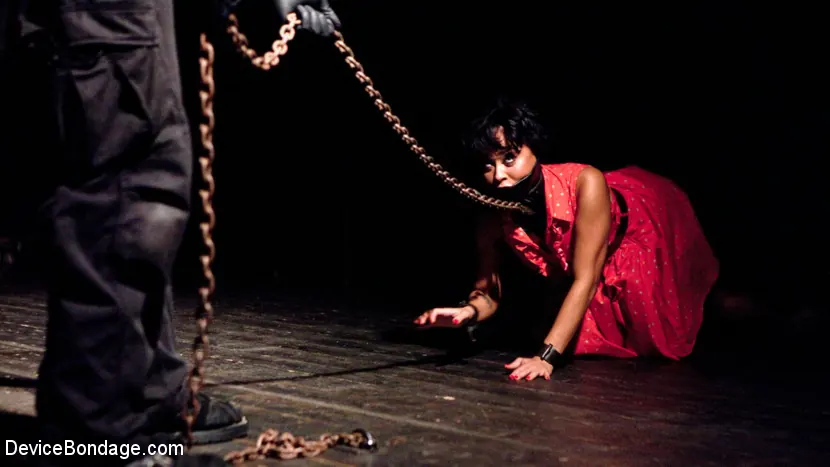 Kink 'Juguete' protagonizando Mia Austin (foto 10)