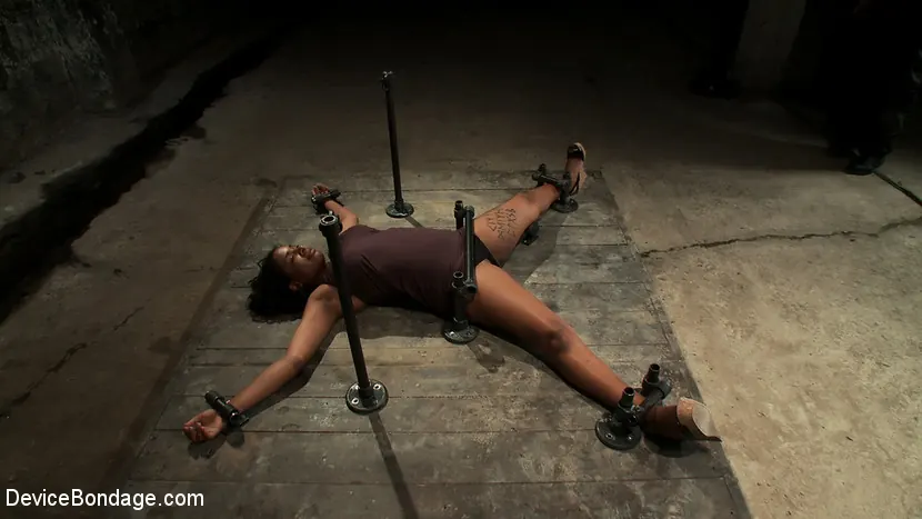 Kink '¿A quién no le gustan los desafíos?' protagonizando Mia Stiletto (foto 1)