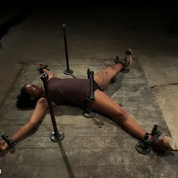 Mia Stiletto に 'Kink' 誰がチャレンジを愛していない (サムネイル 1)