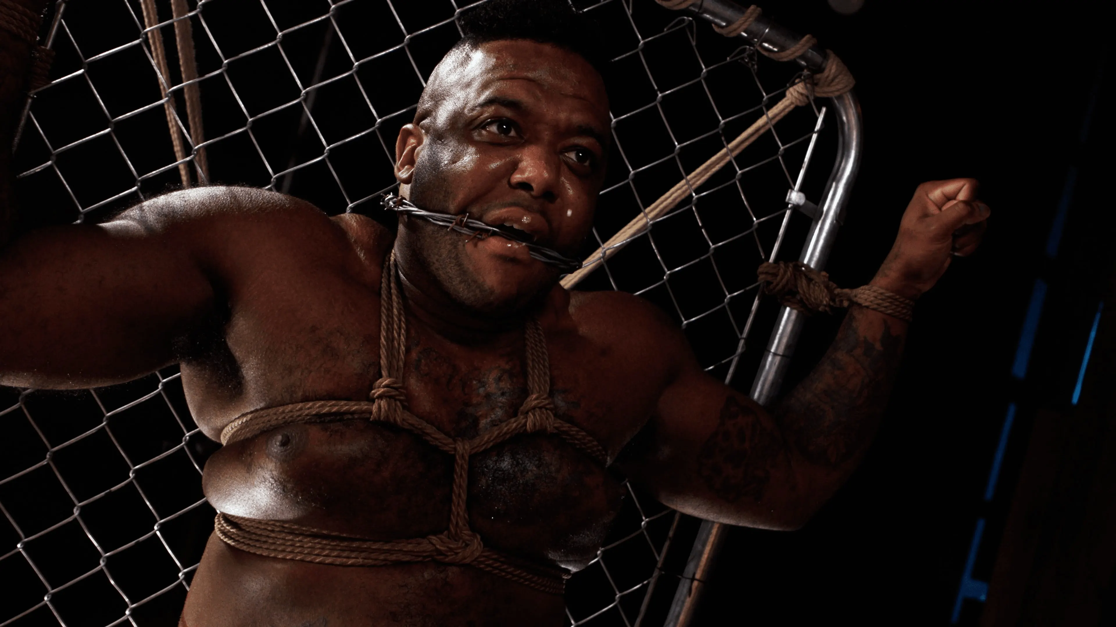 Kink 'フェンス上:ソフィア・ロックとマイカ・マルティネス' 主演 Micah Martinez (写真 2)