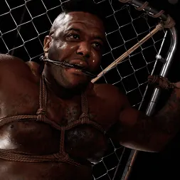 Micah Martinez に 'Kink' フェンス上:ソフィア・ロックとマイカ・マルティネス (サムネイル 2)