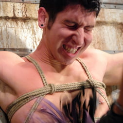 Mika Tan に 'Kink' and Danny Wylde (サムネイル 9)