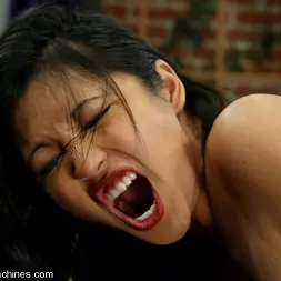 Mika Tan en 'Kink' Mika Tan (Miniatura 6)