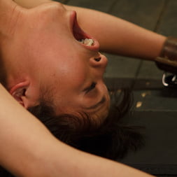 Milcah Halili に 'Kink' ハードボンデージに悩まされたホットベイビー (サムネイル 8)