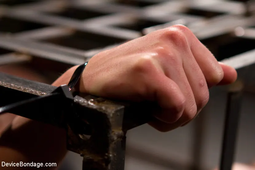 Kink '無実を破る' 主演 Missy Minks (写真 5)