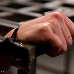 Missy Minks に 無実を破る (写真 5) Missy Minks に 'Kink' 無実を破る (サムネイル 5)