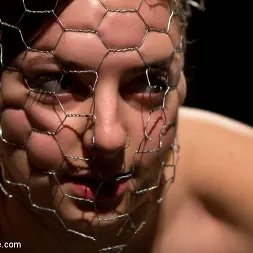 Missy Minks に 無実を破る (写真 13) Missy Minks に 'Kink' 無実を破る (サムネイル 13)