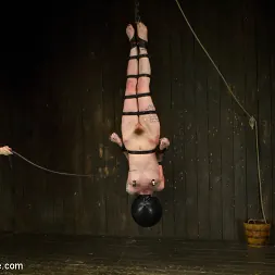 Mizz Amanda Marie en 'Kink' - Rough Rider (Miniatura 5)