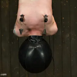 Mizz Amanda Marie en 'Kink' - Rough Rider (Miniatura 8)