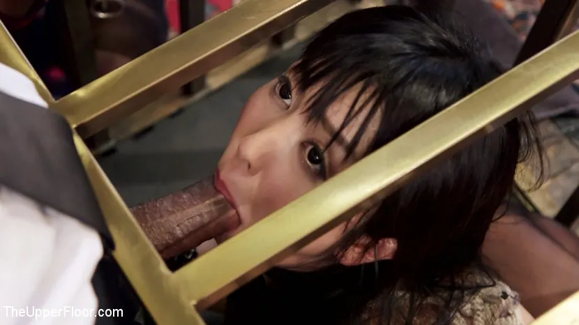 Kink 'An Evil Anal Slave and Her New Pet' starring Mona Wales (Photo 4)