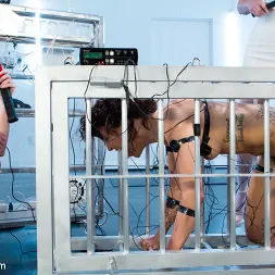 Mz Berlin in 'Kink' Audrey Hollander and Mz Berlin Get Worshipped, Electrosluts Style! (Thumbnail 11)