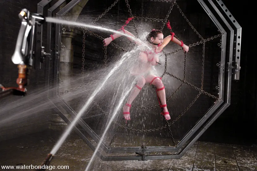 Mz Berlin in 'Berlin!' from 'Kink' (Photo 4) Kink 'Berlin!' starring Mz Berlin (Photo 4)