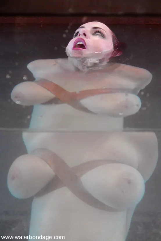 Mz Berlin in 'Berlin!' from 'Kink' (Photo 12) Kink 'Berlin!' starring Mz Berlin (Photo 12)