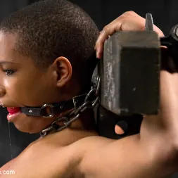 Mz Berlin in 'Kink' Fragments VIII (Thumbnail 11)