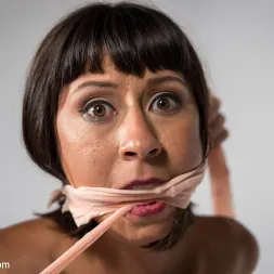 Mz Berlin in 'Kink' Mz. Berlin Clamps, Whips, and Double Stuffs Newbie Vivi Marie (Thumbnail 12)