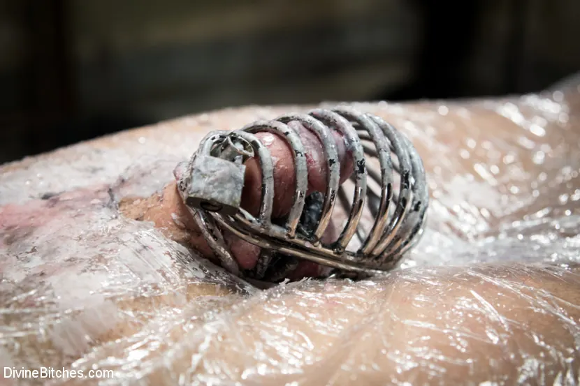 Kink 'La humillación de la Sra. Berlín en el casting' protagonizando Mz Berlin (foto 11)