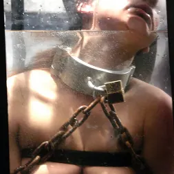 ナディアスタイル に 'Kink' ナディアスタイル (サムネイル 14)