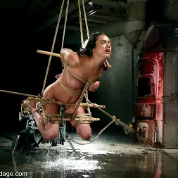 ナディアスタイル に ナディアスタイル (写真 7) ナディアスタイル に 'Kink' ナディアスタイル (サムネイル 7)