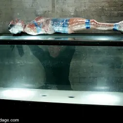 ナディアスタイル に ナディアスタイル (写真 11) ナディアスタイル に 'Kink' ナディアスタイル (サムネイル 11)