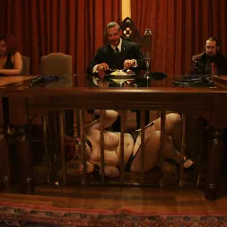 Nerine Mechanique に 'Kink' ステファノスのブランチ (サムネイル 21)