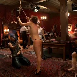 Nerine Mechanique に 'Kink' ステファノスのブランチ (サムネイル 9)