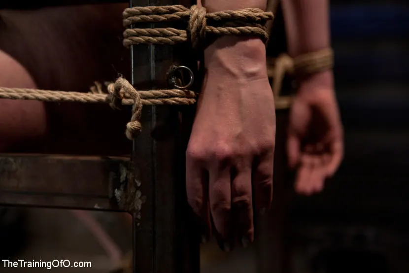 Kink 'Probando Nerine Mechanique' protagonizando Nerine Mechanique (foto 12)