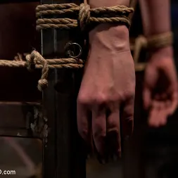 Nerine Mechanique en 'Kink' Probando Nerine Mechanique (Miniatura 12)