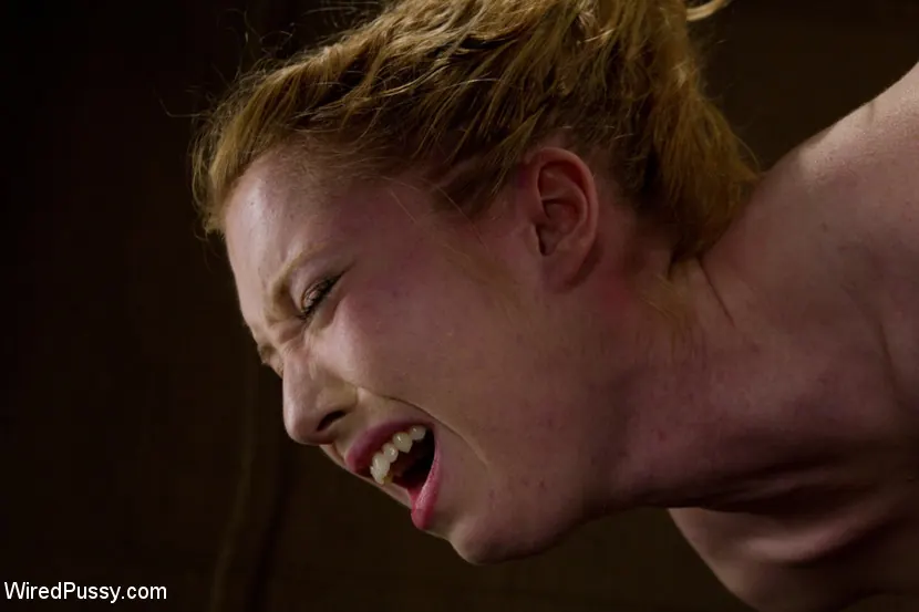 Nicki Blue in 'So Virginal' from 'Kink' (Photo 16) Kink 'So Virginal' starring Nicki Blue (Photo 16)