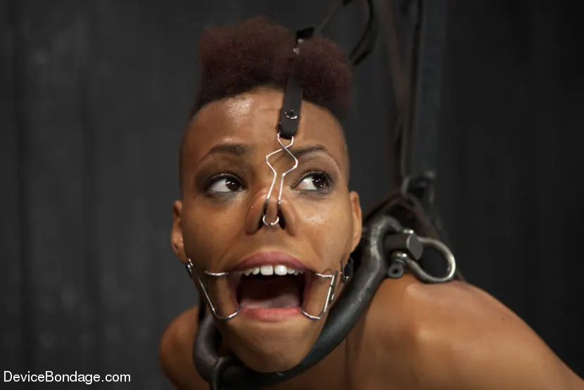 Kink 'Profanado - Nikki Darling' protagonizando Nikki Darling (foto 4)