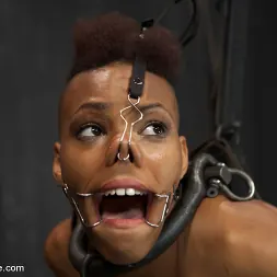 Nikki Darling en 'Kink' Profanado - Nikki Darling (Miniatura 4)