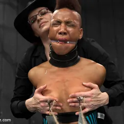 Nikki Darling en 'Kink' Profanado - Nikki Darling (Miniatura 14)