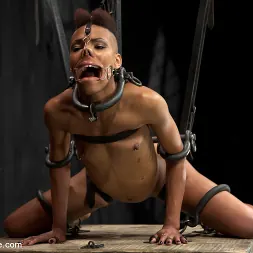 Nikki Darling en 'Kink' Profanado - Nikki Darling (Miniatura 18)