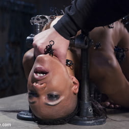 Nikki Darling に 'Kink' 乞食を守ってください！ (サムネイル 10)