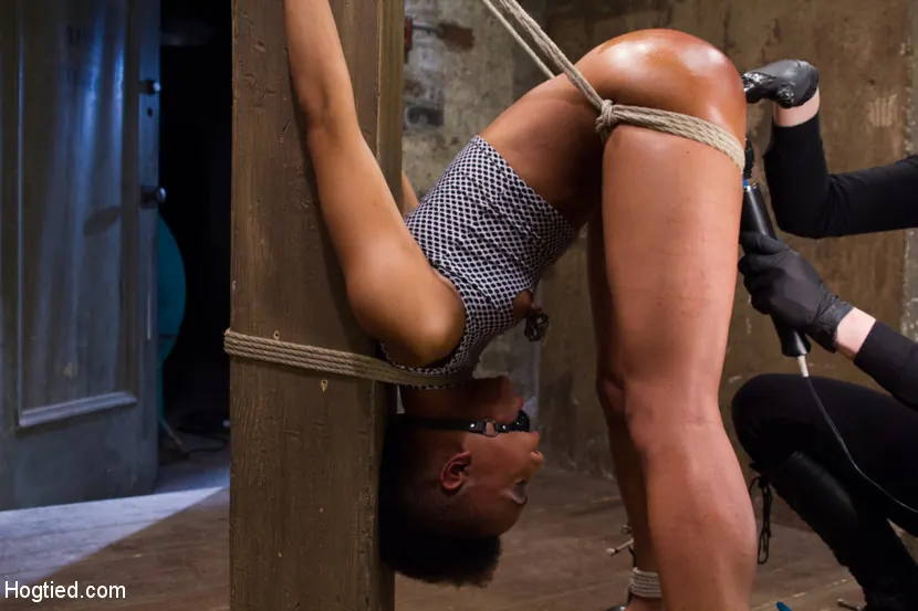 Kink '¡En vivo! ¡Puta luchadora, atada, atormentada y follada!' protagonizando Nikki Darling (foto 1)