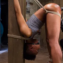 Nikki Darling en 'Kink' ¡En vivo! ¡Puta luchadora, atada, atormentada y follada! (Miniatura 1)