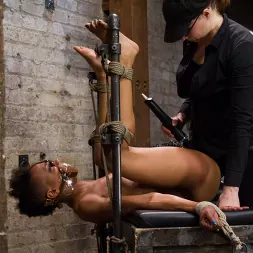 Nikki Darling en 'Kink' ¡En vivo! ¡Puta luchadora, atada, atormentada y follada! (Miniatura 17)