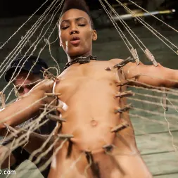 Nikki Darling en 'Kink' El entrenamiento de Nikki Darling, día cuatro (Miniatura 15)