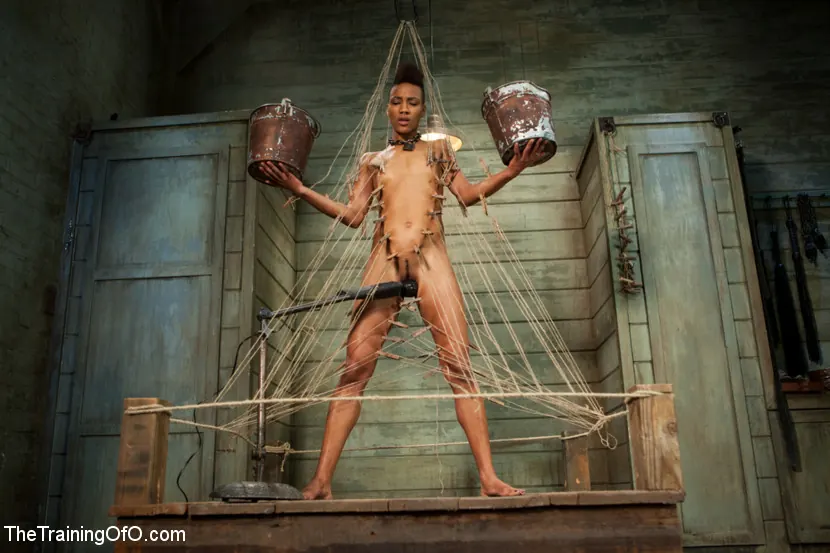 Kink 'El entrenamiento de Nikki Darling, día cuatro' protagonizando Nikki Darling (foto 16)