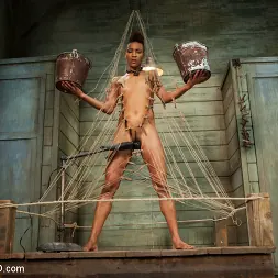 Nikki Darling en 'Kink' El entrenamiento de Nikki Darling, día cuatro (Miniatura 16)