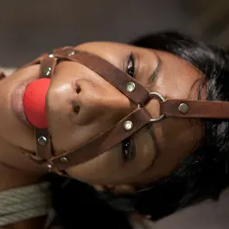 Nikki Darling in 'Kink' Tiny Nikki Darling gets greased up, contorted and pussy pounded. (Thumbnail 13)