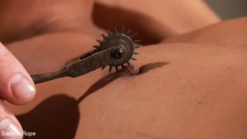 Kink 'Dominación total' protagonizando Nikki Darling (foto 12)