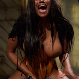 Nyomi Banxxx に 'Kink' 彼女の偉大さを崇拝する！ (サムネイル 9)